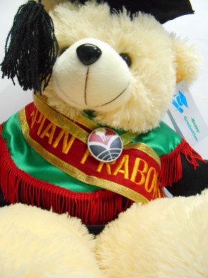 boneka wisuda beruang teddy bear 50cm bordir di selempang wisuda 2